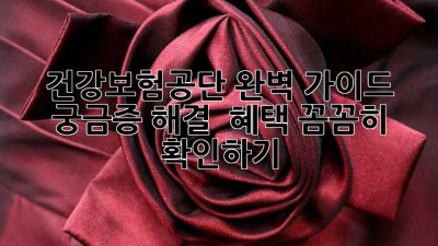건강보험공단 완벽 가이드: 궁금증 해결 & 혜택 꼼꼼히 확인하기